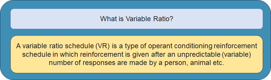 Variable Ratio Schedule VR Definition Psychology Glossary 